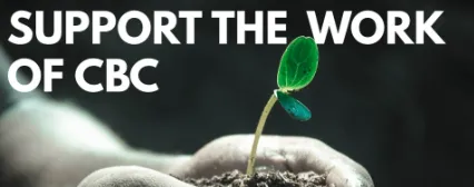 Support the work of CBC: a seedling held in cupped hands